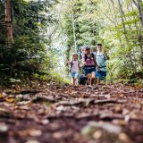 Premiumwanderweg